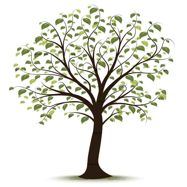 The Capay Family Tree